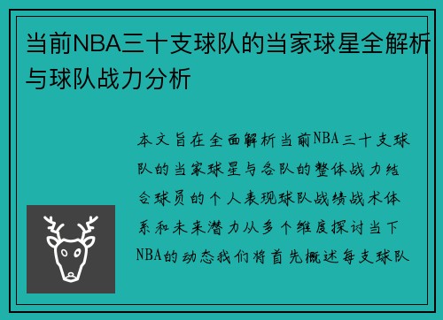 当前NBA三十支球队的当家球星全解析与球队战力分析